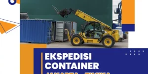 ekspedisi container jakarta timika