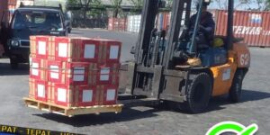 pengiriman container Jakarta Fakfak